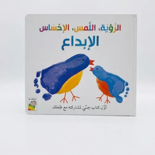 الإبداع الرؤية اللمس الاحساس
