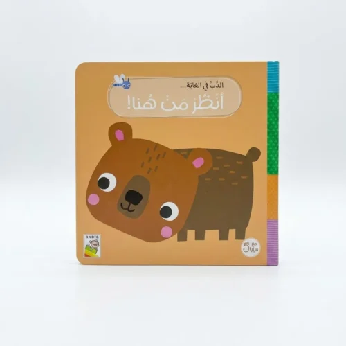 انظر من هنا الدب في الغابة
