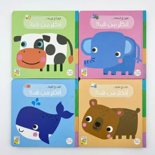 سلسلة انظر من هنا